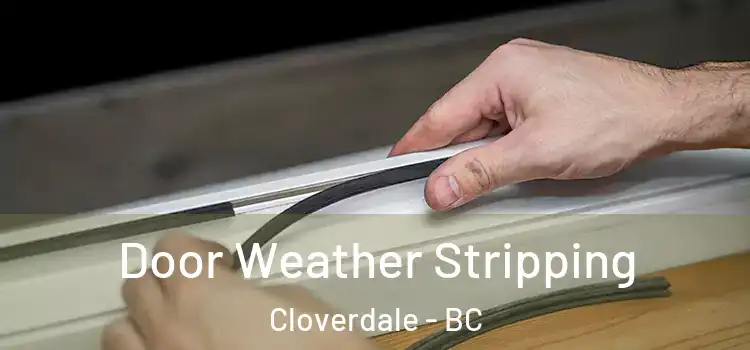 Door Weather Stripping Cloverdale - BC