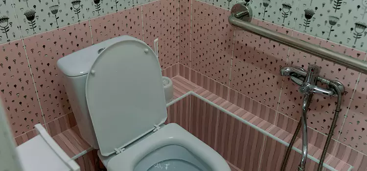 Meeting Diverse Needs With Accessible Restroom Solutions in Cloverdale, BC