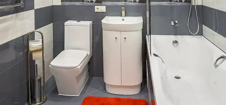 Hansgrohe Shaving Mirror Cloverdale